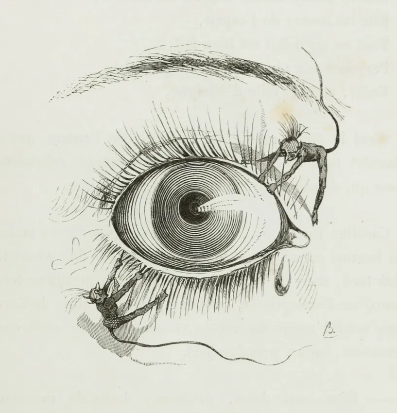 Les Révélations Brutales by Bertall (Charles Albert d’Arnoux) (from Balzac’s Petites misères de la vie conjugale (1846))